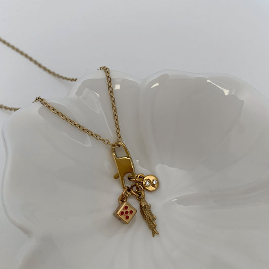 CharMINI CHAIN - Acciaio inossidabile